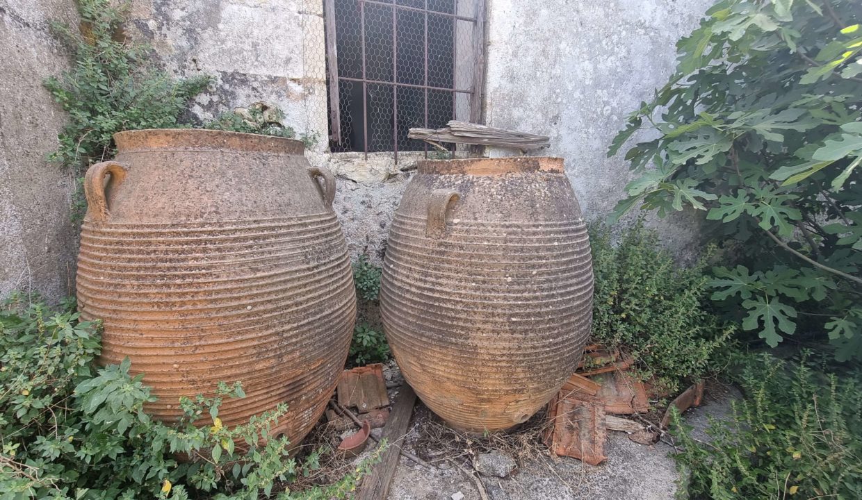 Old olive oil Jar